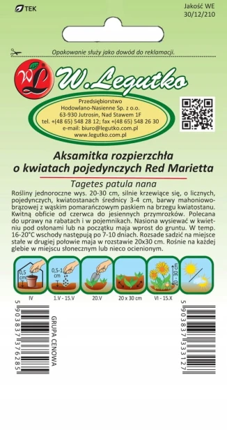 Nasiona aksamitki Aksamitka rozpierzchła kwiaty pojedyńcze Red Marietta -