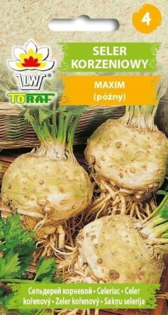 Seler korzeniowy Maxim nasiona 1 g