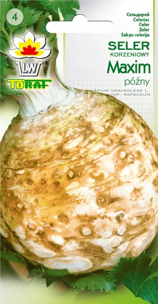 Seler korzeniowy Maxim nasiona 1 g