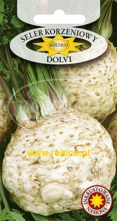 Seler korzeniowy Maxim nasiona 1 g