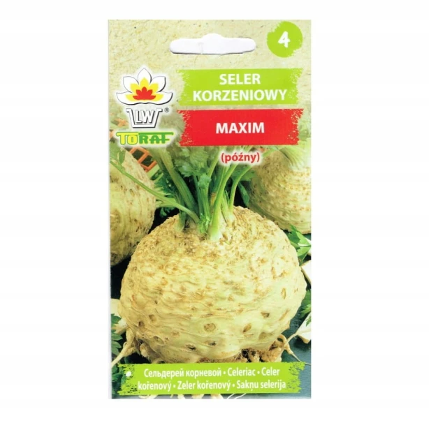 Seler korzeniowy Maxim nasiona 1 g